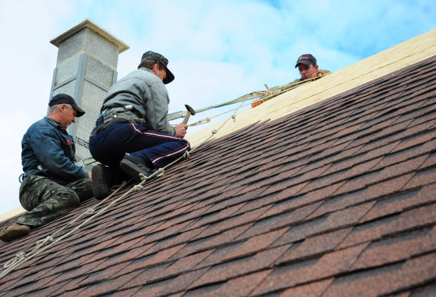 Best New Roof Installation  in Lincoln, ND